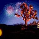 Click Here to Play at Silver Dollar Online Casino - Get up to $1350 Free
