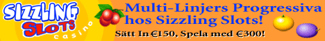 Sizzling Slots Casino